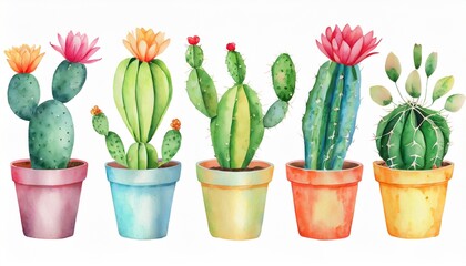 watercolor funny cute cactus in pot set on white background watercolor cactus pots for decoration cactus and succulents set cute green cactus in flower pots