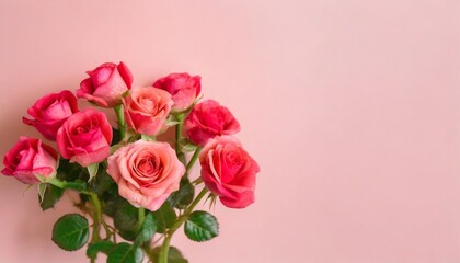 photography of a a bunch of pink red roses on a pink pastel background