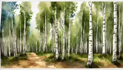  watercolor birch grove watercolor illustration for children s stories interior printing © Slainie