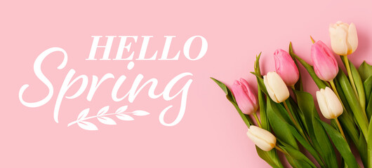 Beautiful tulips and text HELLO, SPRING on pink background