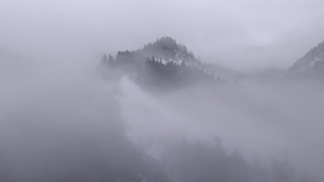 Fog in the Mountains