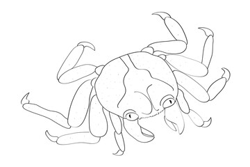 Hand drawn crab. Doodle illustration