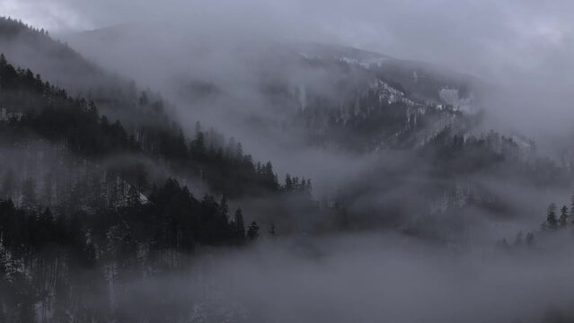 Fog in the Mountains