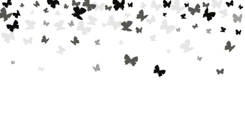 Tropical black butterflies cartoon vector background. Summer little moths. Wild butterflies cartoon dreamy wallpaper. Tender wings insects graphic design. Fragile creatures.