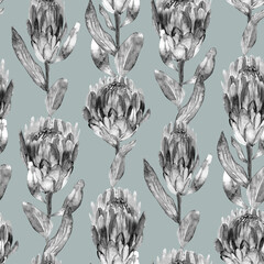 Monochrome black and white watercolor seamless pattern with herbarium of protea flowers on a light background for summer textiles and interior design
