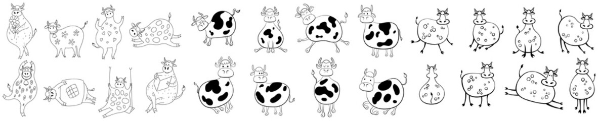 Obraz premium Set of farm animals hand drawn. Illustration of cow poses isolate on white doodle style.