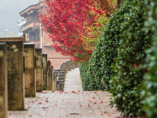 autumn walk in the rain, Segura, Idiazabal, Gipuzkoa, Basque country, Spain