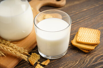 Milk in glass and jug with cookie on wooden table on a grey background, close-up.