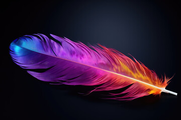 Colorful Feather on Black Background