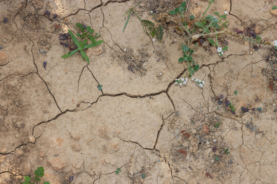 Trockener Boden, Erderwärmung, Klimawandel, Wassermangel, Dürre, Trockenheit