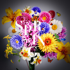 Beautiful colorful flowers bouquet with white Spring letters and butterflies on gray background. 3D Rendering, 3D Illustration