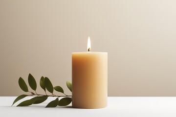 candle and plant on light background
