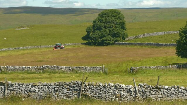 Green pasture surrounded with dry stone walls and a tractor mowing summer grass for fodder. Use of modern equipment for farming. Beautiful sunny day in the countryside of Yorkshire Dales National Park