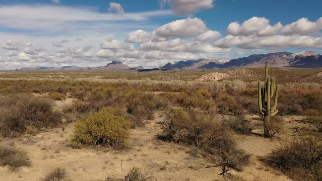 Aerial footage flying between two saguaro cacti and then rising while flying forward towards distant mountains over the Sonoran Desert of Arizona.