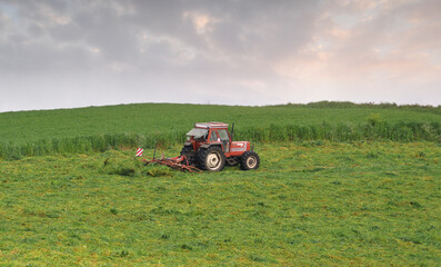 Fototapeta premium Farm tractor doing grass cutting work in a field at the end of a rainy and sunny day