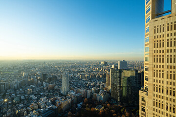 Naklejka premium The panorama of Tokyo, Japan