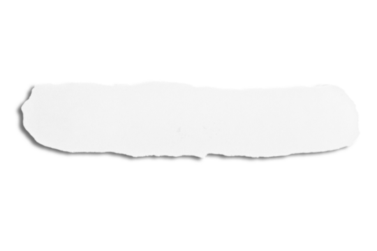 A piece of torn white paper with jagged edges against a tangled background.