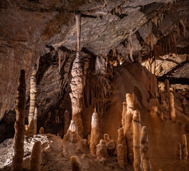 The cave Postojna Cave in Slovenia.