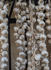 dried garlic on ropes against the wall