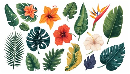 Tropical flowers, palm leaves, jungle leaf, bird of paradise flower, isolated on white background