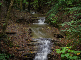 The waterfall in green forest