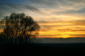 sunset over the field