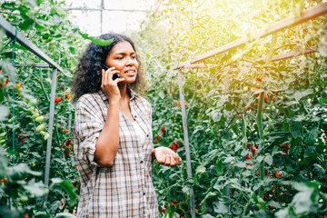 A cheerful female farmer, hat-clad, engages on her phone at the greenhouse, holding ripe tomatoes....