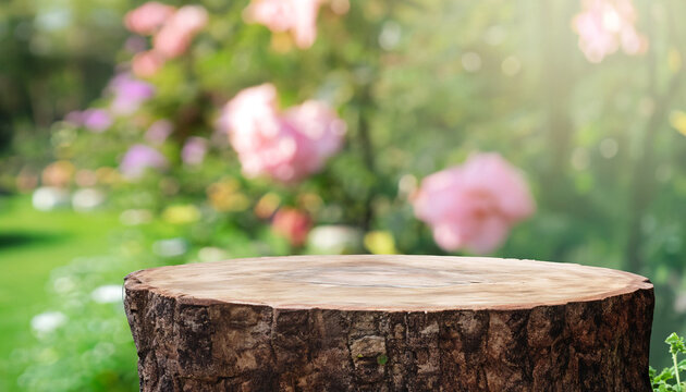 Empty old tree stump table top with blur rose garden background for product display template, mock up, panoramic image