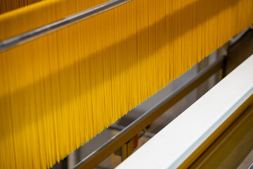 spaghetti production line - ecological modern food factory