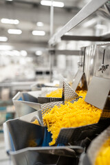 pasta factory - clean production line