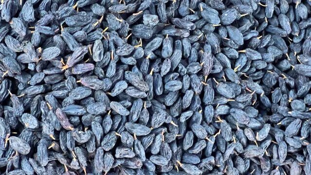 Dried Fruits, nuts and Spices market in Samarkand, Uzbekistan - June 29, 2023: Goods and traders at the Oriental Bazaar in Uzbekistan. Siab Bazaar is the largest and oldest bazaar in Samarkand. 4K