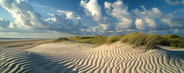 Tuinposter Noordzee, Nederland Sand dunes at North sea beach