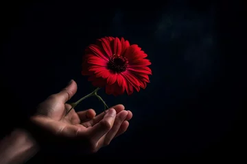 Selbstklebende Fototapeten red flower in hand © asad