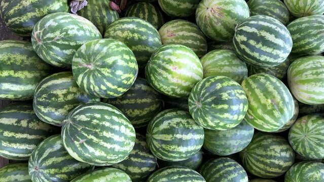 Watermelons on the fruit and vegetable market. Uzbekistan - June 29, 2023: Goods and traders at the Oriental Bazaar. Siab Bazaar is the largest and oldest bazaar in Samarkand. 4K