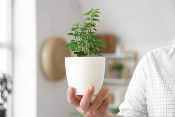 Mature man with plant at home, closeup