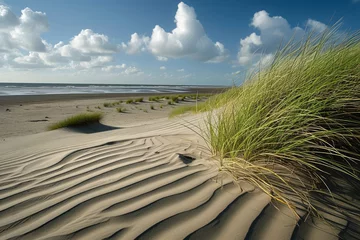 Deurstickers Noordzee, Nederland Sand dunes at North sea beach