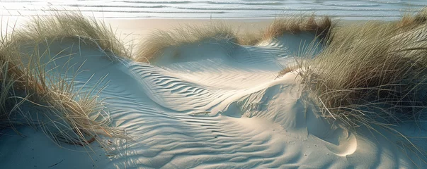 Papier Peint photo Mer du Nord, Pays-Bas Sand dunes at North sea beach