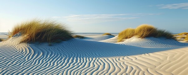 Sand dunes at North sea beach