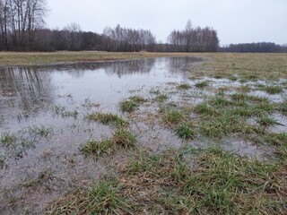 Powodzie - woda na polach © tomo81