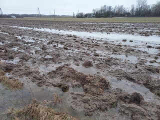 Powodzie - woda na polach © tomo81