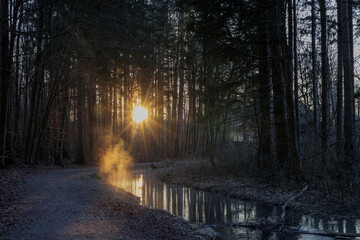 Path along the Brunnenbach stream through the Siebentischwald forest in Siebenbrunn at sunrise on a winter's day