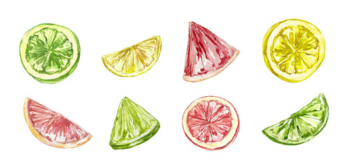 Citrus juicy fresh fruits lemon lime grape yellow green pink healthy meal summer drinks watercolor