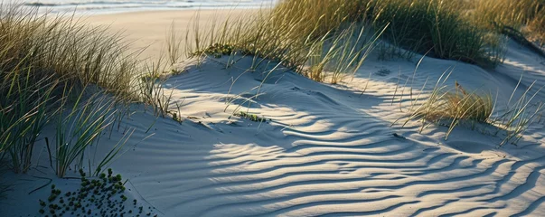 Poster de jardin Mer du Nord, Pays-Bas Sand dunes at North sea beach