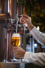 Fototapeta na wymiar Camarero sirve una cerveza de un grifo en una barra de bar en una copa de cristal