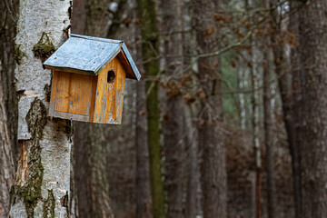 bird house on a tree