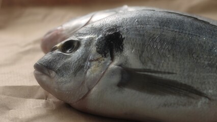 Fresh Fish on a paper-covered surface. Selective focus, close-up.