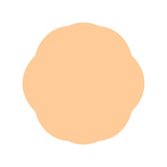 vintage label and badges shape