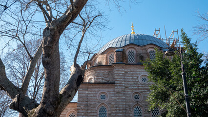 Fototapete bei efototapeten.de bestellen   