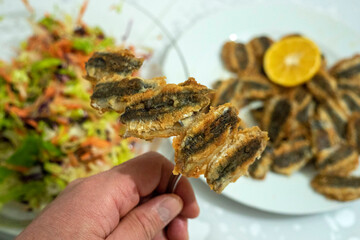 anchovy fish fried with oil,close-up of cooked anchovy fish,