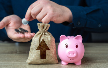 Pig piggy bank and bag with up arrow. High return on savings. Growth in profits. Career...